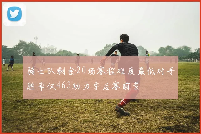 骑士队剩余20场赛程难度最低对手胜率仅463助力季后赛前景