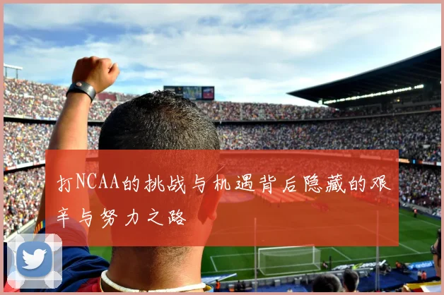 打NCAA的挑战与机遇背后隐藏的艰辛与努力之路